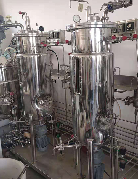 生（shēng）物（wù）發酵