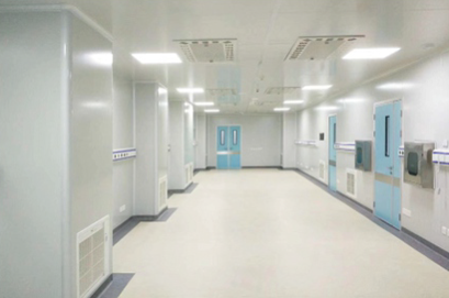 玻鎂（měi）岩棉淨化板應用案例